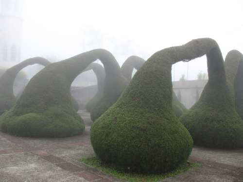 jacindaelena:Zarcero topiary garden by Jamie Royer