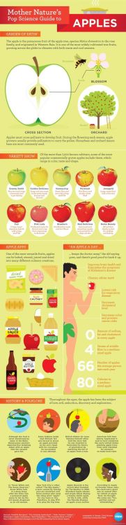 How much do you know about apples?