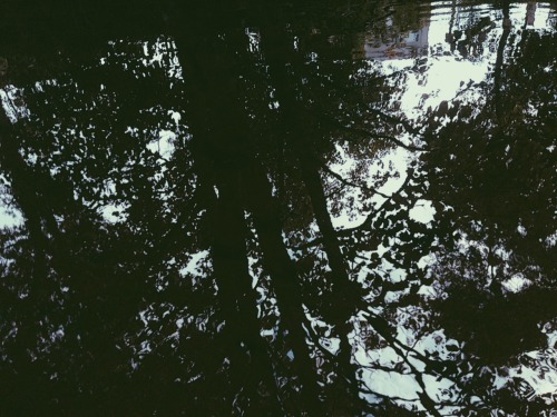 themountainiscallingblog:  River trip 