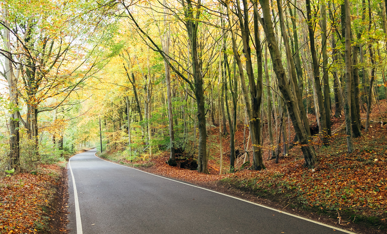 danfreemanphoto:  Autumn RoadsMy favourite road to cycle in Autumn, just missed the