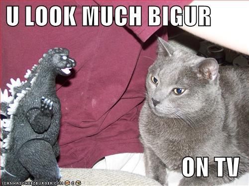 seananmcguire: sophiaslittleblog:  tzikeh:  owl-librarian:  sasgalula:  coolcatgroup: