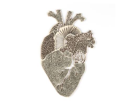 mednerds: Light and Paper Anatomy- By Ali HarrisonLight + Paper founder and artist Ali creates the d