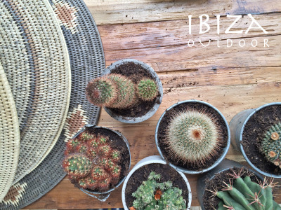 Leuke foto ontvangen met de teakhouten tafel en de decoratieve manden. erg leuk komen te staan tezamen met deze cactusplanten in Den Haag. Bij interesse in deze stoere items graag even mailen naar ibizaoutdoor@gmail.com ook voor een afspraak in de...