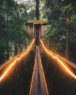earth:  Treehouse in the forest of Oregon.