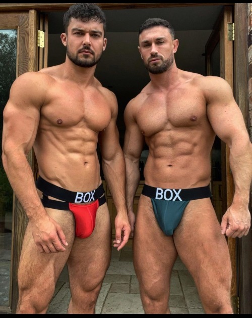 forcuriousguys:  Box muscle buddies