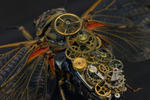 asylum-art:  Intricate Steampunk Insects porn pictures