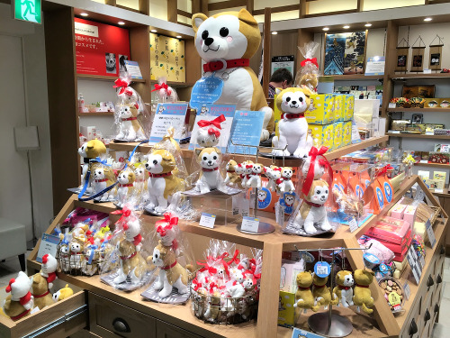 Hachiko gift shop inside of the Tokyu Department Store in Shibuya today.