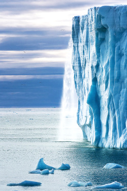 wnderlst:  Svalbard, Norway     