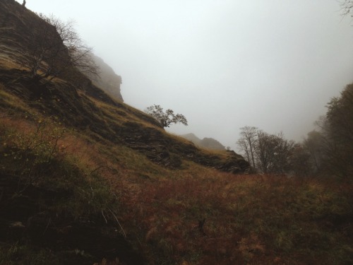 thedeerandtheoak: We spent the weekend in the Pyrenees for our first year anniversary (which is actu