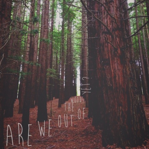 100daysoftaylorhappy:  Day 54- ‘are we in the clear yet? Good’   I took this photo a while back and thought these woods were exactly what I picture when I hear this song  Such an amazing song Taylor! Love you!!  taylorswift 