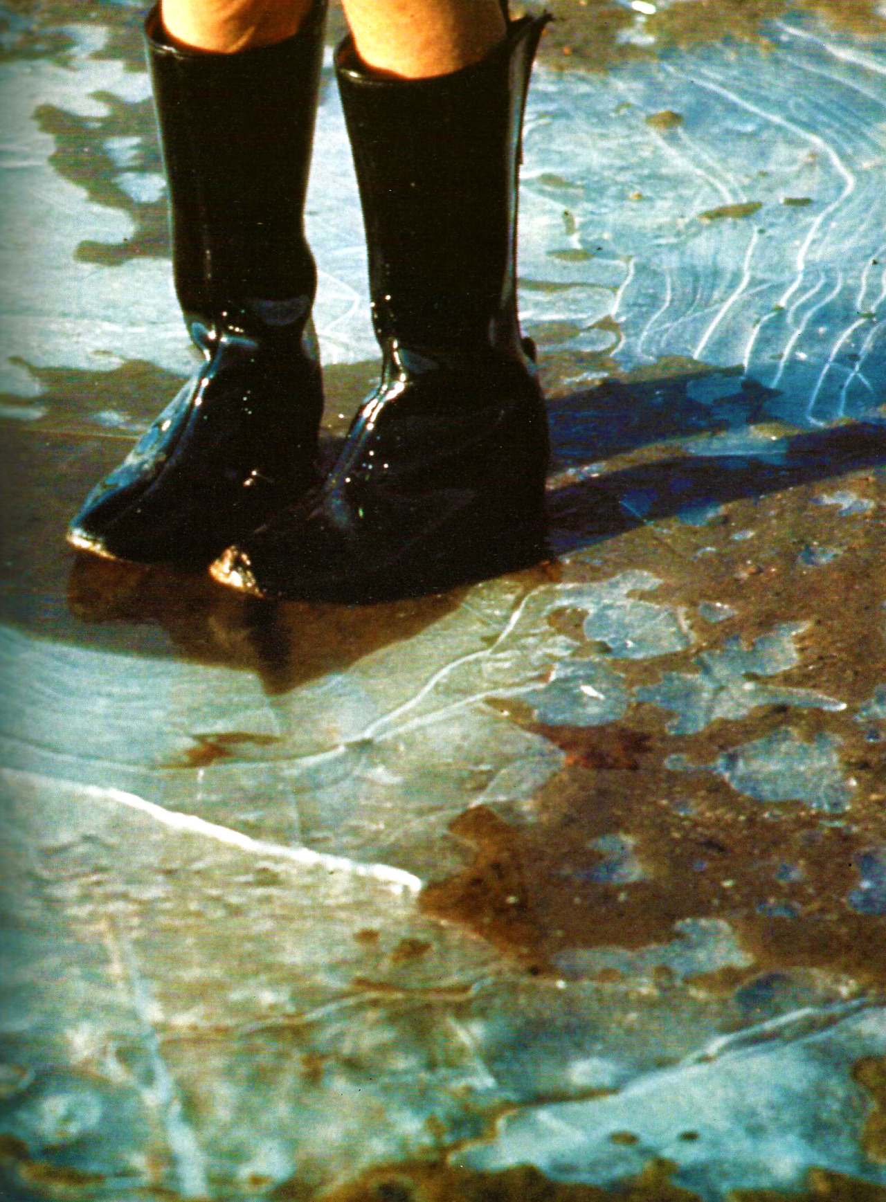 Linda McCartney Photography