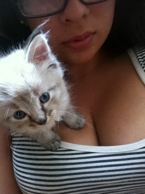 kittiesntitties.tumblr.com/post/48670900016/