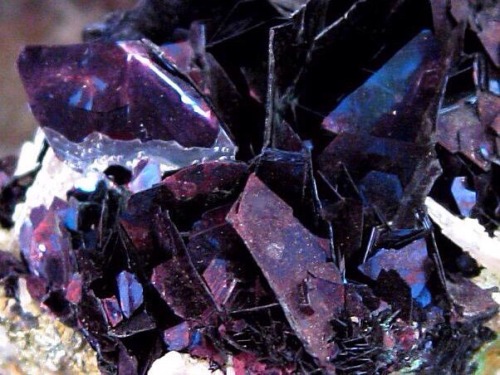 cosmic-crystalss:Covellite: a rare copper sulfide mineral, a stone for healing broken relationships 
