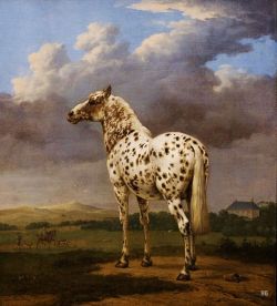hadrian6:  The Piebald Horse. Paulus Potter. Dutch.1625-1654. oil on canvas. http://hadrian6.tumblr.com 