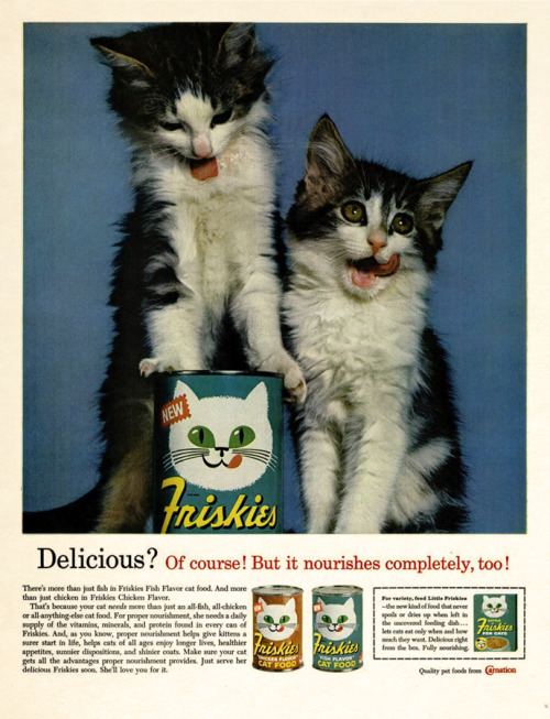 Friskies, 1963