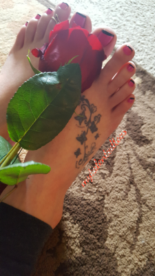 mytalentedtoes:Happy Valentine’s Day! 2/4