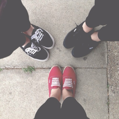 vans life.