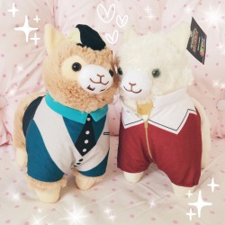 kimomoe:  Picked up the Tiger &amp; Bunny cosplay alpacas today!! They’re super adorable omfg (๑⁼̴̀д⁼̴́๑)