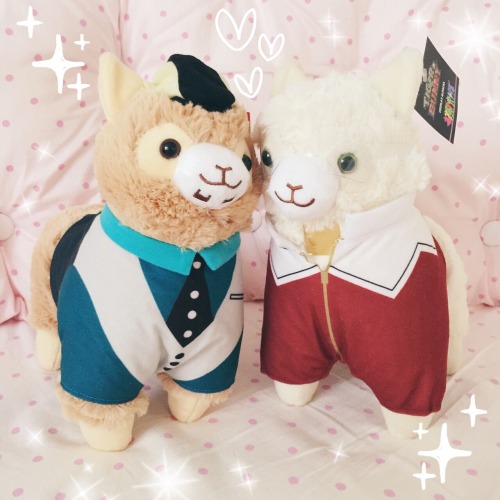 kimomoe:  Picked up the Tiger & Bunny cosplay alpacas today!! They’re super adorable omfg (๑⁼̴̀д⁼̴́๑)