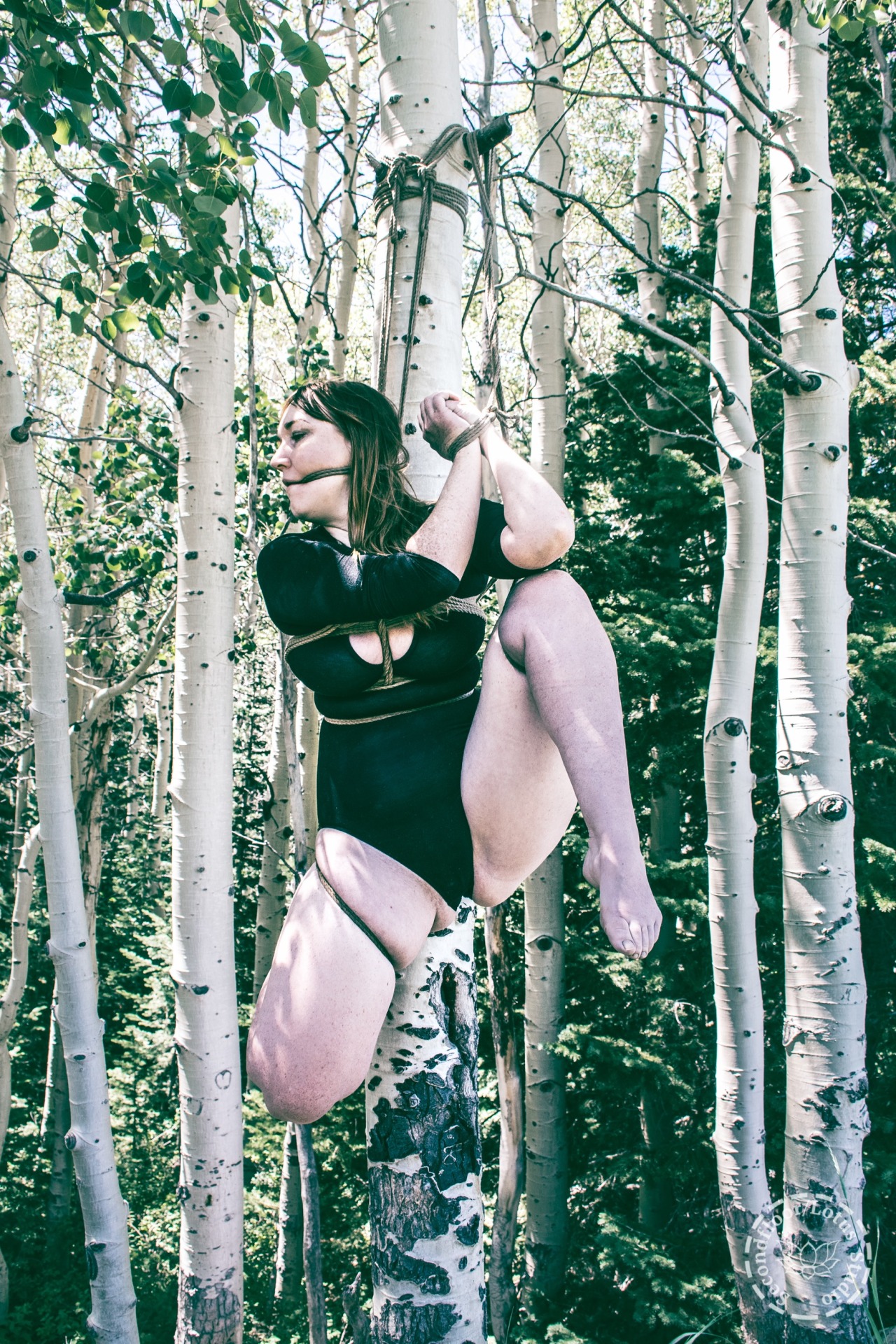 secondfloor-fet:  @gaping-lotus suspended from a birch tree | rigging and photo: