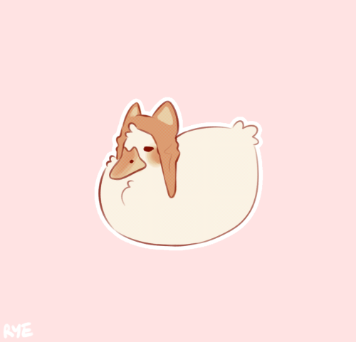 A DUCK WITH A CAT HAT C: