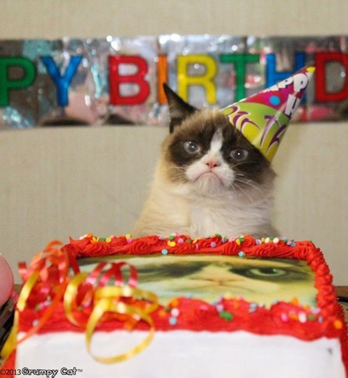 thedailywhat:  Happy Birthday, Grumpy Cat!  Our friend Tardar Sauce is celebrating