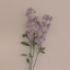 lavendermoonns