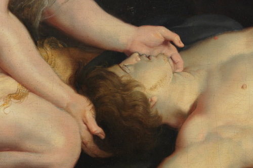 caravaggista:Peter Paul Rubens, Details from The Death of Adonis with Venus, Cupid, and the Three Gr