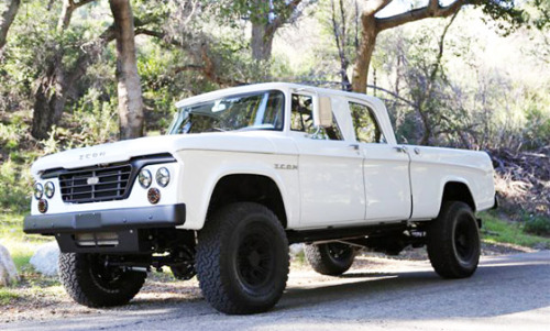 goosedawg:  origionalprettyboy:  Icon 1965 Dodge D200 Power Wagon. Brand new cummins 5.9 Built to shit with a 6 speed manual. Pushing 975 pounds-feet of torque. Jacked up on 37s. If you don’t like that then fuck you.  A freaking tank, just no treads.