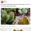 enbybirb51-blog