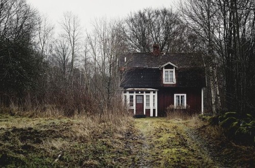 oldfarmhouse:“Ordinarily, I go to the woods alone, with not a single friend, for they are all smiler