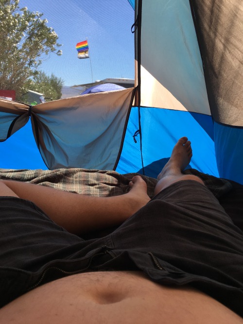 westcub86:Camping in Joshua Tree. Any bears wanna crawl into my tent?