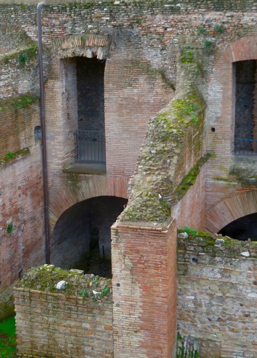 Rovine di archi e volte in mattoni, Palatino, Roma, 2019.  On the Palatine Hill, as in virtually all