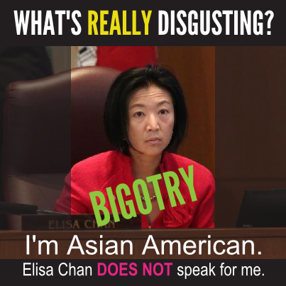 The time has come to gather our folks. Elisa Chan doesn’t represent Asian Americans’ vie