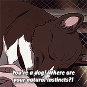 #20yearsCowboyBebop QuotesSpike Spiegel4/8