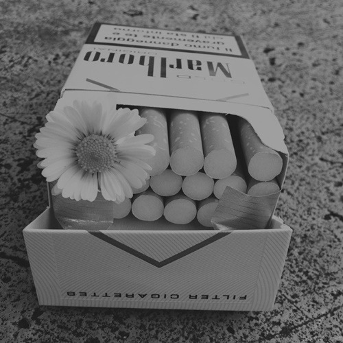 drunknight:   black &amp; white blog  
