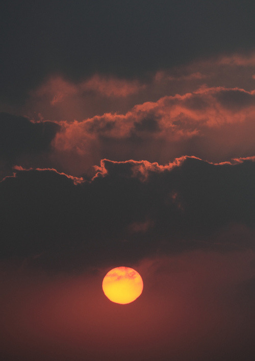 kushandwizdom:  Words of Emotion