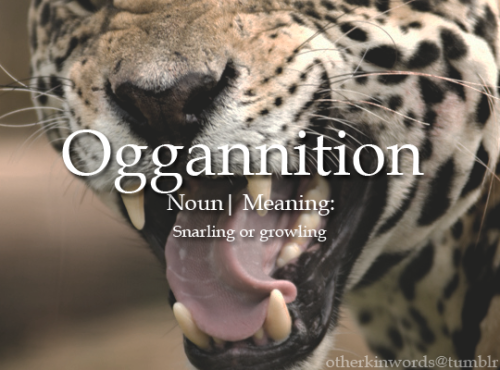 otherkinwords: Oggannition noun | Snarling or growling