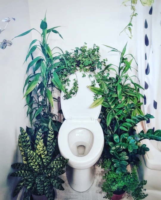 yuumei-art:  I don’t just draw plants everywhere, I grow plants everywhere. This is my green throne. When life gives you shit, the green throne takes it away.