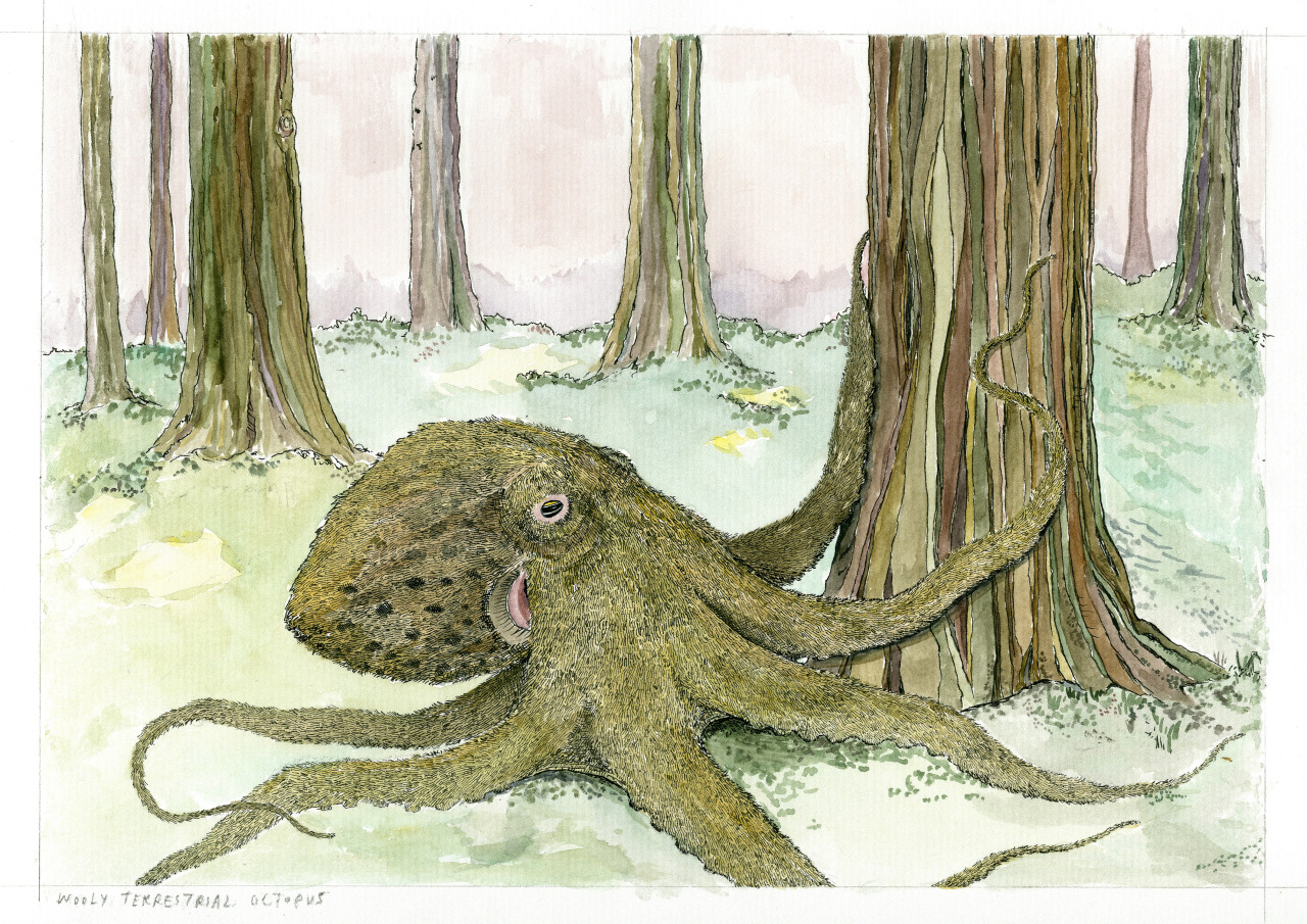 sargetsi:  The Woolly Terrestrial Octopus (Octopus hirtus) is a land-dwelling carnivore