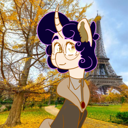 roose-berry:  Picture of French baker horse    Cutie~ c: