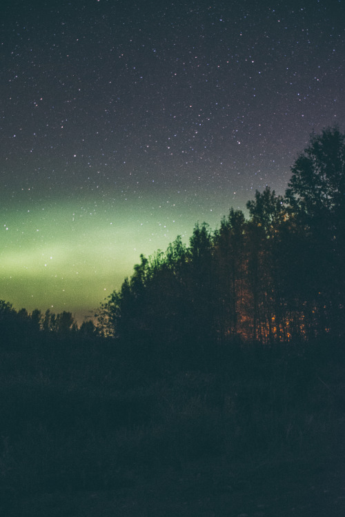adm-kng:Aurora Borealis over Alberta  | instagram | flickr | prints