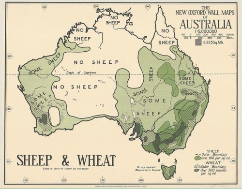 Porn photo mapsontheweb:  Sheep and wheat in Australia