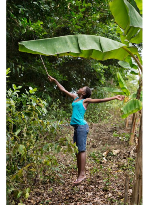 Alessandra Sanguinetti: The island life of Mayotte, Dominica and Vanuatu, a series commissioned by E