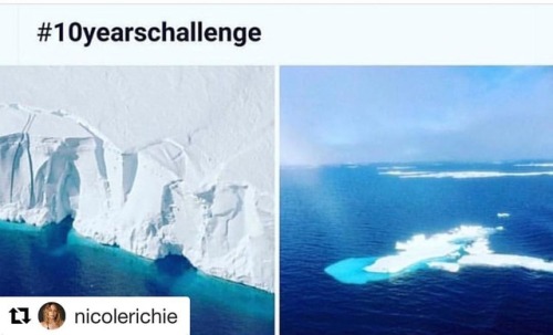 #Repost @nicolerichie ・・・This #breaksmyheart #globalwarmingisreal #savetheplanet#10yearchallenge @