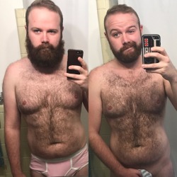 onebanday: Made some major progress  #gay #gaybear #gaycub #bear #cub #hairygay #hairy  