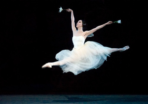 swanlake1998: hee seo photographed performing as the title role in giselle by gene schiavone
