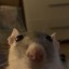 videos77
