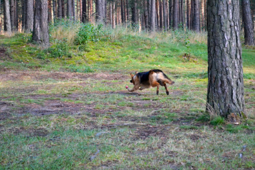 Catching the ball 