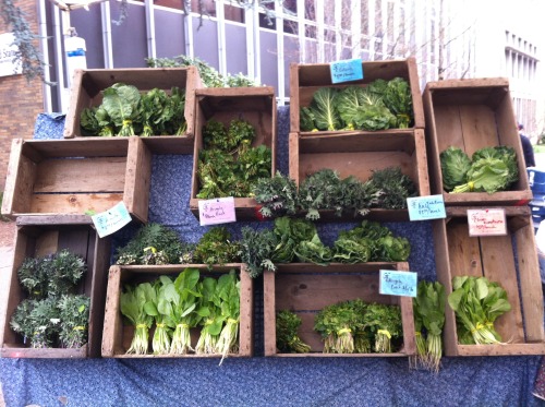 Opening day at Portland Farmers Market at PSU. This is one of my favorite places/events in the world